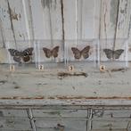 Taxidermie opgezette vlinders in display, Ophalen of Verzenden