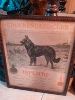 Antiek diploma hondenclub 1934, Ophalen of Verzenden