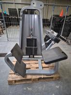 Precor onder rug machine back extension, Ophalen, Gebruikt, Rug, Overige typen