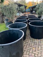 Boomkuip, Tuin en Terras, Ophalen, Kunststof, Gebruikt, Rond