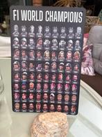 F1 champions tot 2021 20x30 metalen bord, Ophalen of Verzenden, Zo goed als nieuw, Auto's