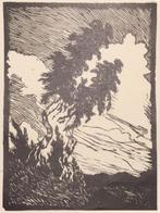 Theo Sußbradt (XX-XX) Houtsnede 'Berken' in landschap' ~1925, Ophalen of Verzenden