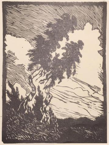 Theo Sußbradt (XX-XX) Houtsnede 'Berken' in landschap' ~1925 beschikbaar voor biedingen