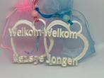 Hartjes Babyshower, Ophalen of Verzenden, Nieuw