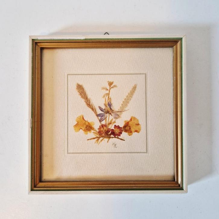 Vintage schilderij droogbliemen lijstje made in GDR, Antiek en Kunst, Curiosa en Brocante, Ophalen of Verzenden
