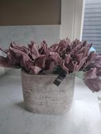 Foam bloemen PTMD echeveria groot, Huis en Inrichting, Ophalen of Verzenden, Nieuw, Binnen