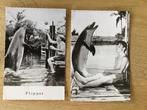 Flipper, de dolpfijn, Ophalen of Verzenden, 1940 tot 1960, Zo goed als nieuw