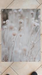 Tuinposter (winterbeeld), Ophalen of Verzenden, Nieuw
