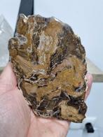 Plak van versteend hout, Ophalen of Verzenden, Mineraal