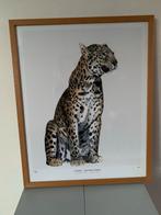 Leopard Print Ingelijst, Ophalen of Verzenden