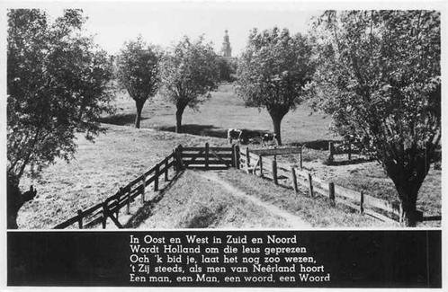 (301-036-003) Nederland, Verzamelen, Ansichtkaarten | Nederland, Verzenden