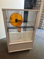 Hamsterkooi Omlet, Dieren en Toebehoren, Kooi, ., Omlet Qute Gerbil, Minder dan 75 cm