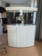 Juwel vision 180 wit inclusief meubel nieuwstaat, Ophalen, Zo goed als nieuw, Leeg aquarium