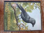 Hans de torenkraai, Boeken, Prentenboeken en Plaatjesalbums, Ophalen of Verzenden, Gelezen, H E Kuylman, Plaatjesalbum
