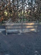 Schapenhek, Meerdere dieren, Schaap