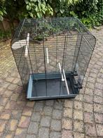 Vogelkooi, Ophalen of Verzenden, Zo goed als nieuw, Minder dan 75 cm, Minder dan 65 cm