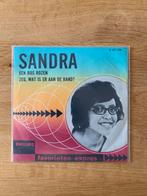 Favorieten expres - Sandra - een bos rozen - piraten topper., Cd's en Dvd's, Vinyl | Nederlandstalig, Ophalen of Verzenden, Gebruikt