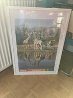 3 Ikea fotolijsten Fiskbo 50x70, Ophalen, Gebruikt, 50 tot 75 cm, 50 tot 75 cm