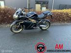TRMOTOR Gp1, Bedrijf, Sport, TRMOTOR