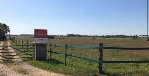 Gezocht stukje agrarische grond, Dieren en Toebehoren, Stalling en Weidegang, Toebehoren