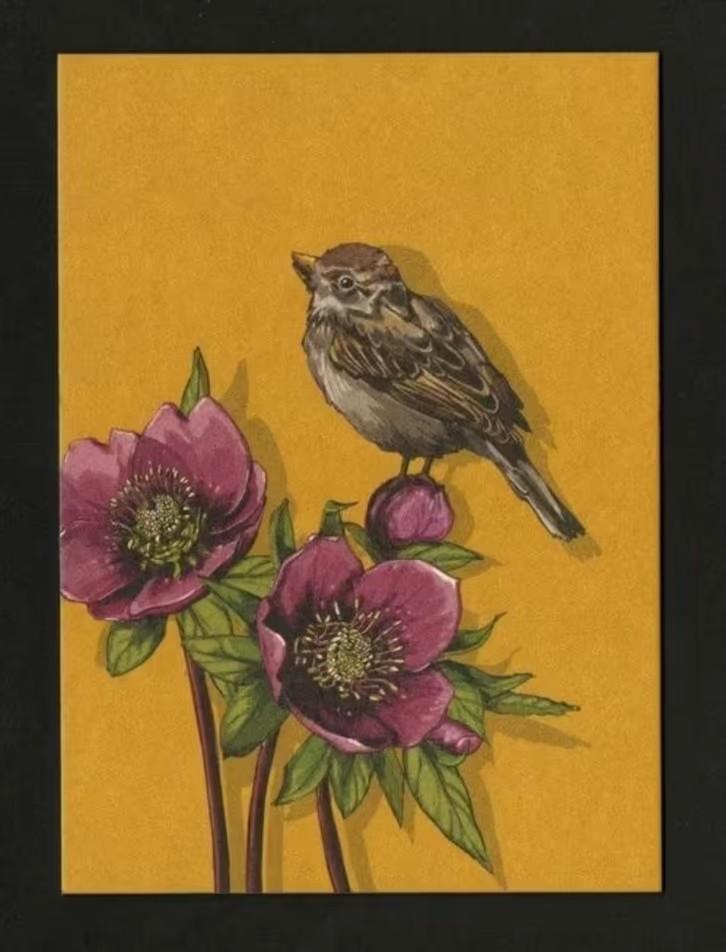 Huismus Mus Passer Domesticus, Verzamelen, Ansichtkaarten | Dieren, Ongelopen, 1980 tot heden, Vogel, Ophalen of Verzenden