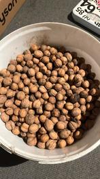 Walnoten 3,50€ per kg, Diversen, Ophalen