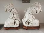 Antieke Boedistische leeuwen Blanc-de -chine porselein, Ophalen