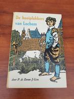 P.de Zeeuw J.Gz/De hooiplukkers van Lochem, Boeken, Ophalen of Verzenden, Zo goed als nieuw, P.de Zeeuw J.Gz
