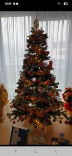 Kerstboom met licht 1 jaar oud, Ophalen