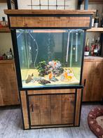 Industrieel aquarium 80x80x80 165 hoog, Ophalen, Gebruikt, Leeg aquarium