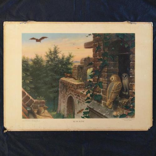 Schoolplaat Bij de ruïne – Koekkoek 1950, Antiek en Kunst, Antiek | Schoolplaten, Natuur en Biologie, Ophalen of Verzenden