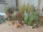 Veel aquarium decoratie / planten, Ophalen, Zo goed als nieuw, Plant(en), Steen of Hout