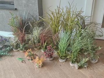 Veel aquarium decoratie / planten beschikbaar voor biedingen