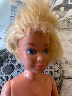 Vintage Pop Barbie skipper, Ophalen of Verzenden, Gebruikt