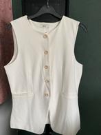 Nieuw JD Gilet - Stijlvol & Tijdloos!, Ophalen of Verzenden, Nieuw, Wit