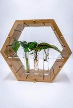 Nieuwe setjes van 6 glas reageerbuisjes met kurk, Ophalen of Verzenden, Nieuw, Materiaal