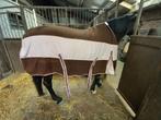 SECTOLIN 1.65-1.45 deken, Dieren en Toebehoren, Paarden en Pony's | Overige Paardenspullen, Ophalen of Verzenden, Zo goed als nieuw