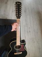 akoestische gitaar 12 snaren., Muziek en Instrumenten, Snaarinstrumenten | Gitaren | Akoestisch, Ophalen of Verzenden, Zo goed als nieuw