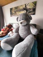 Grote grijze teddybeer, Ophalen, Zo goed als nieuw, Beer