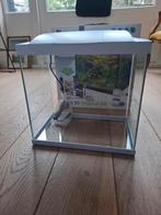 SuperFish Aquarium Start 30 Tropical Kit met accessoires, Ophalen, Nieuw, Leeg aquarium
