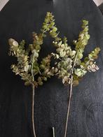 2 Silka eucalyptus takken gekocht bij Manon Maison, Huis en Inrichting, Ophalen of Verzenden, Zo goed als nieuw, Binnen