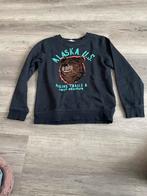 H&M Alaska Sweater met Pailletten maat 146/152, Ophalen, Gebruikt, Jongen of Meisje, Trui of Vest