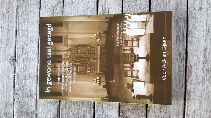 Bas Rentmeester - In gewone taal gezegd, Boeken, Overige Boeken, Nieuw, Ophalen of Verzenden