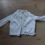 Hema vestje maat 62, Kinderen en Baby's, Babykleding | Maat 62, Ophalen of Verzenden, Zo goed als nieuw, Hema, Truitje of Vestje