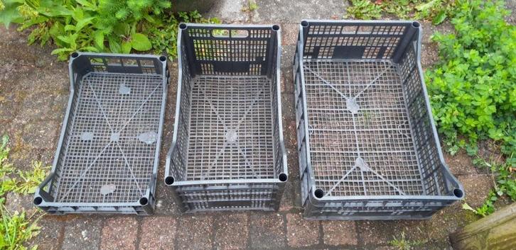 Kwekerijkratten zwart diverse maten vanaf € 1,00 p.s., Tuin en Terras, Kweekspullen, Gebruikt, Kweekbak, Ophalen