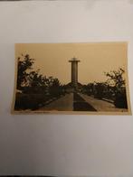 ROTTERDAM. DIERGAARDE BLIJDORP, Verzamelen, Ophalen of Verzenden, Voor 1920, Zuid-Holland
