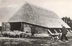 Heerde, Schaapskooi, Ophalen of Verzenden, 1960 tot 1980, Gelopen, Gelderland