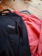 2 dames sweaters voor 4 euro, Maat 42/44 (L), Ophalen of Verzenden, Clockhouse, Roze