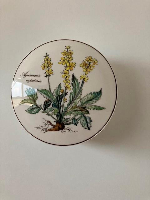 Villeroy & Boch schaaltje Botanica PUNTGAAF, Huis en Inrichting, Keuken | Servies, Zo goed als nieuw, Schaal of Schalen, Overige stijlen