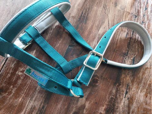 Mooi halster maat shetje, Dieren en Toebehoren, Paarden en Pony's | Hoofdstellen en Tuigage, Nieuw, Overige soorten, Ophalen of Verzenden